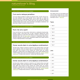 Websites: Simple Blog